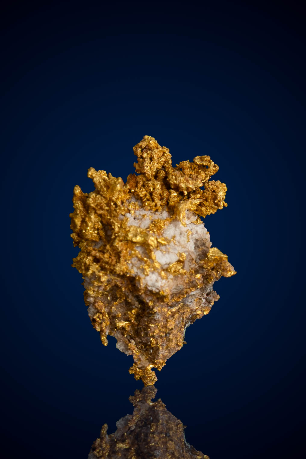 Gorgeous, Tapered Natural Gold Nugget with Quartz - Lost Mine, Australia - 1.73 grams (image for) Gorgeous, Tapered Natural Gold Nugget with Quartz - Lost Mine, Australia - 1.73 grams